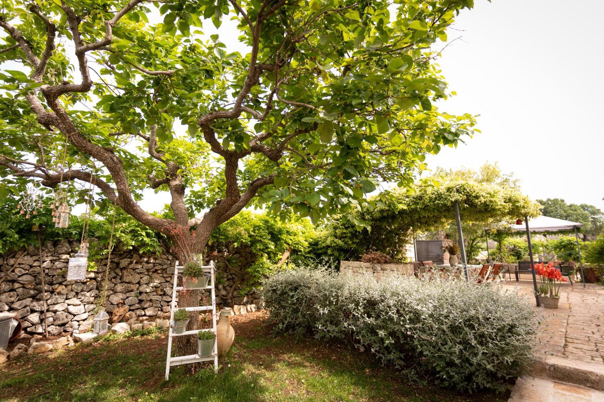 Вилла Il Trullo Volza Локоротондо Экстерьер фото
